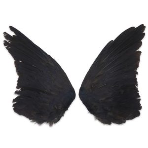 Natural Jackdaw Wings