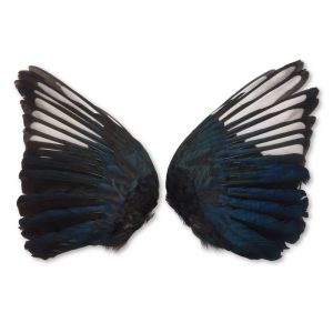 Natural Eurasian Magpie Wings