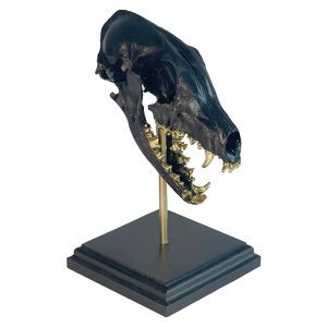Fox Skull on Stand